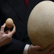 Illustration for article titled This egg is worth more than your car